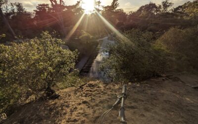 Pacifica Cattle Hill